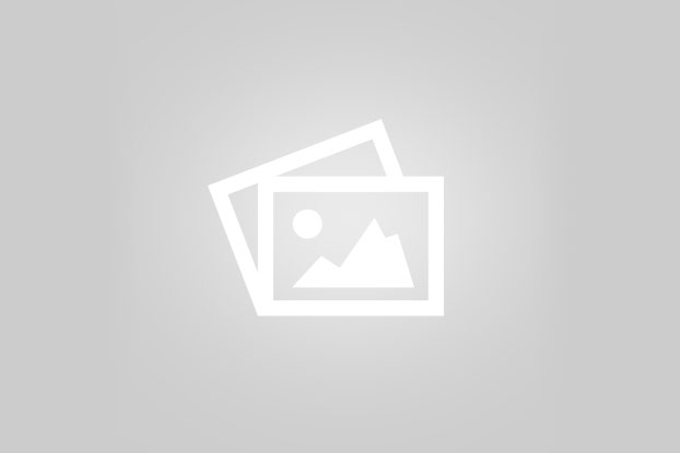 خدمات جرثقیل همت